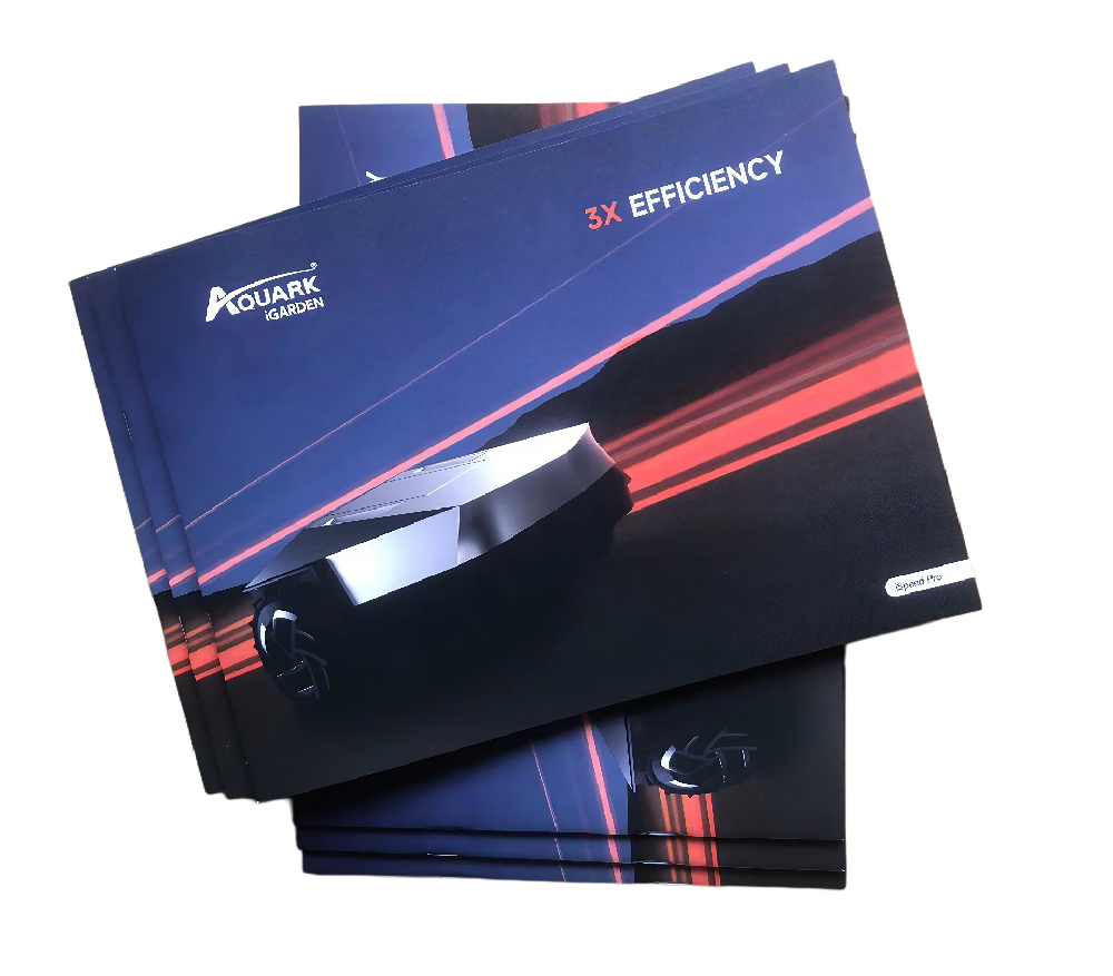 宣传册玩球网页版-玩球（中国）：展现魅力与价值的精彩篇章